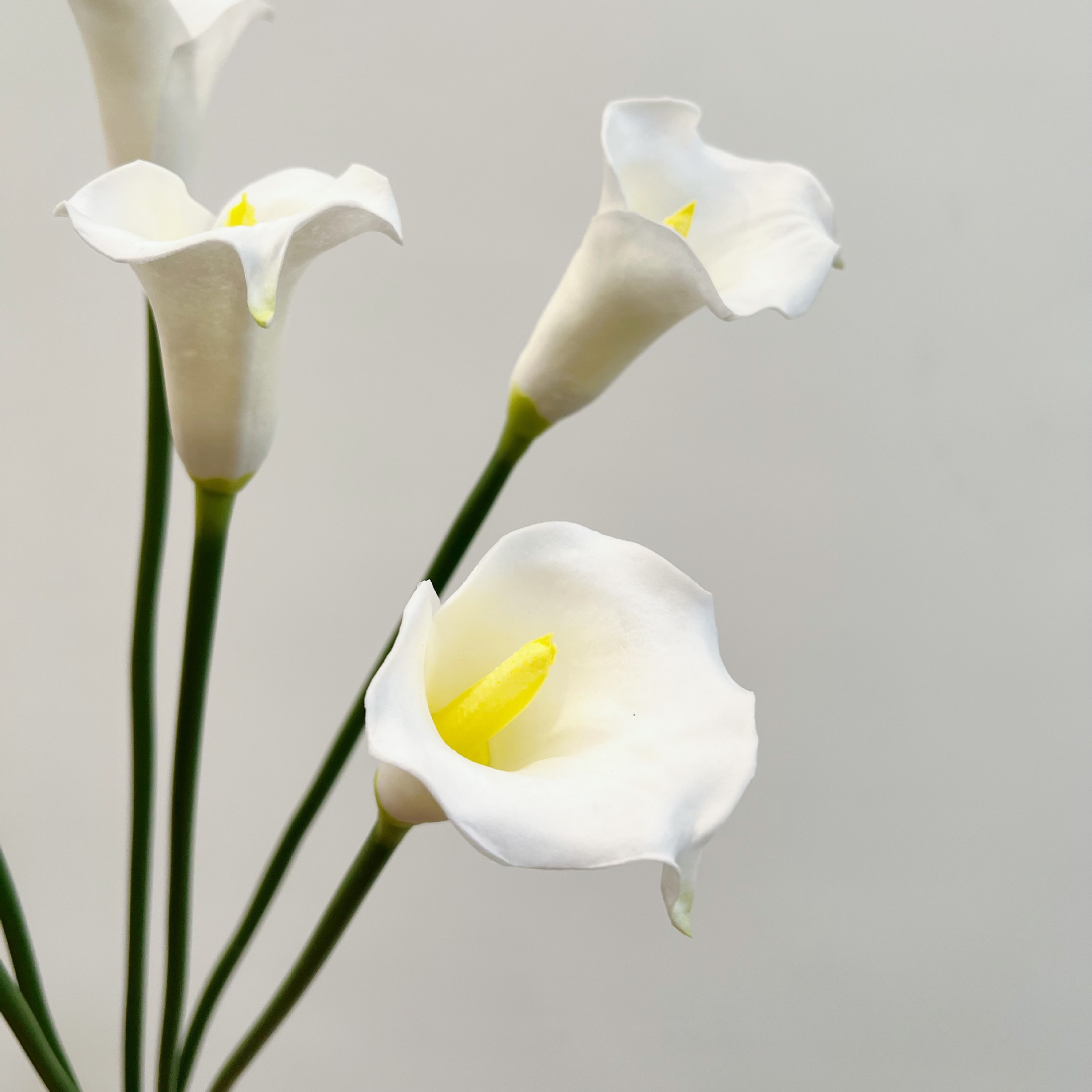 زهرة الكالا الاصطناعية بساق وا - مراجعة Supply For Florist وسعره